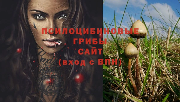 гидра Арсеньев