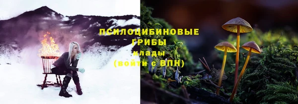 не бодяженный Аркадак