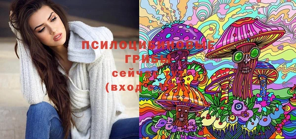 гидра Арсеньев