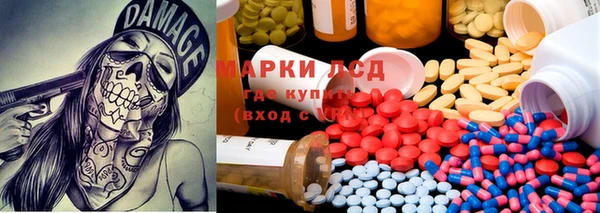 гидра Арсеньев