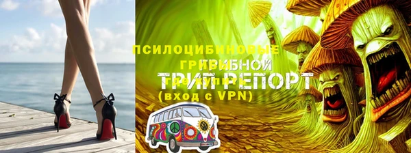 гидра Арсеньев