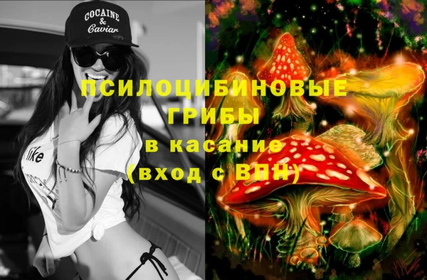 не бодяженный Аркадак